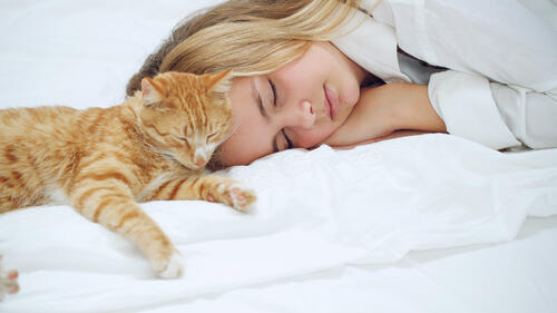 shutterstock_1983360035